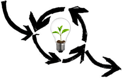 Sprout bulb in interative cycle